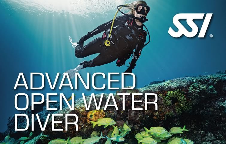 Curso Advanced Open Water Diver en Los Roques, Venezuela - Arrecife Diver's
