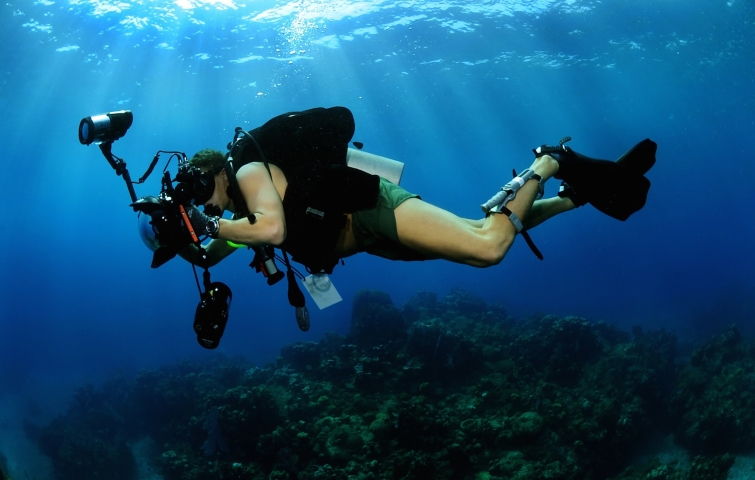 Cursos de fotografía acuática en Los Roques - PADI Digital Underwater Photographer en Los Roques