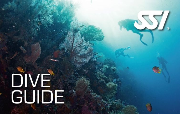 EL mejor curso de buceo de Venezuela - Dive Guide Los Roques - Arrecife Diver's