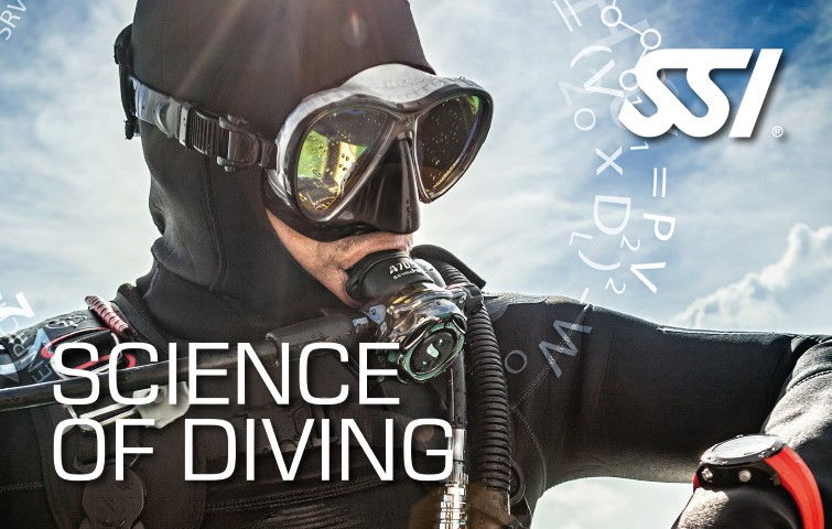 Curso de la ciencia del buceo en Venezuela - SSI Science of Diving - Arrecife Diver's