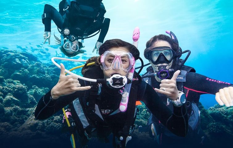 Discover Scuba Diving en Los Roques, Venezuela - Arrecife Diver's