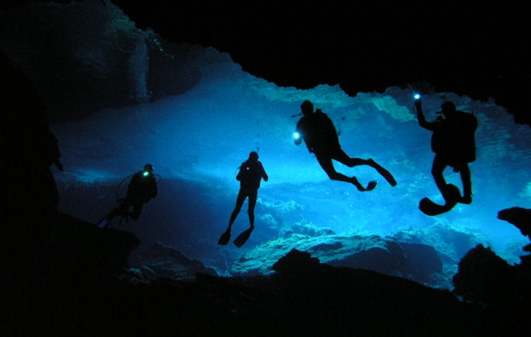 Buceo con linterna en Venezuela - Bucea con escasa luz en Los Roques con Arrecife Diver's