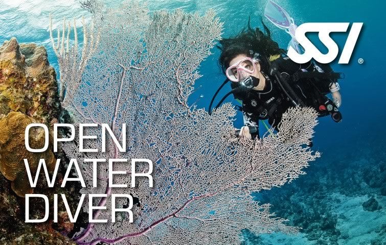 Arrecife Diver's - La mejor experiencia de buceo del Caribe - Venezuela