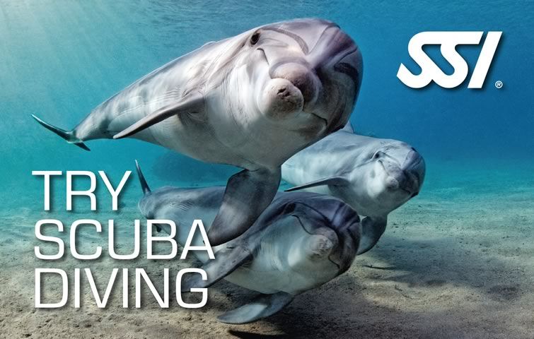 Try Scuba Diving en Los Roques - Centros de buceo en Venezuela