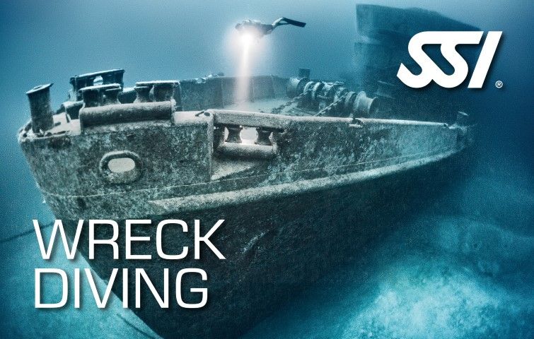 Descubre el Velero hundido de Los Roques con el curso SSI Wreck Diving en Arrecife Diver's