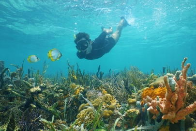 Bucear en Los Roques con Arrecife Diver's es divertido, relajante y educativo