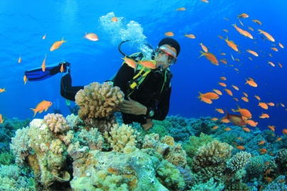 En Arrecife Diver's tenemos los cursos de buceo más completos de Venezuela